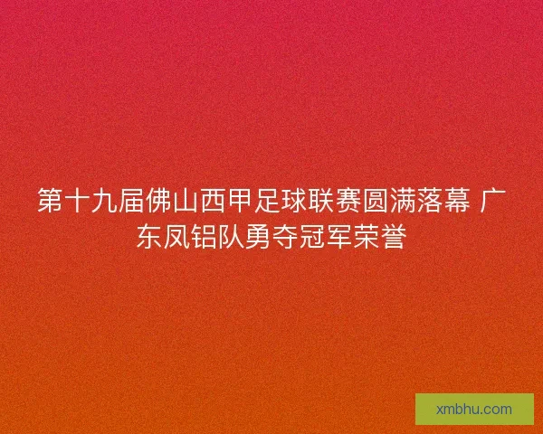 第十九届佛山西甲足球联赛圆满落幕 广东凤铝队勇夺冠军荣誉